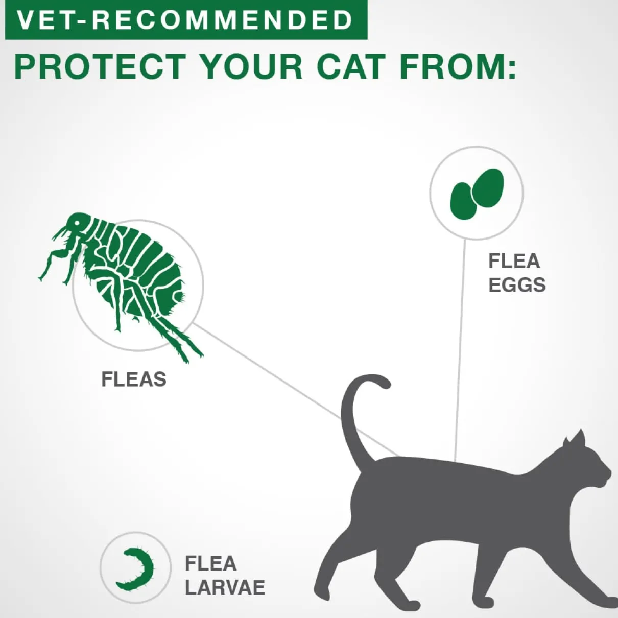 Advantage II - Kitten under 2.3kg