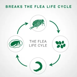 Advantage II - Kitten under 2.3kg