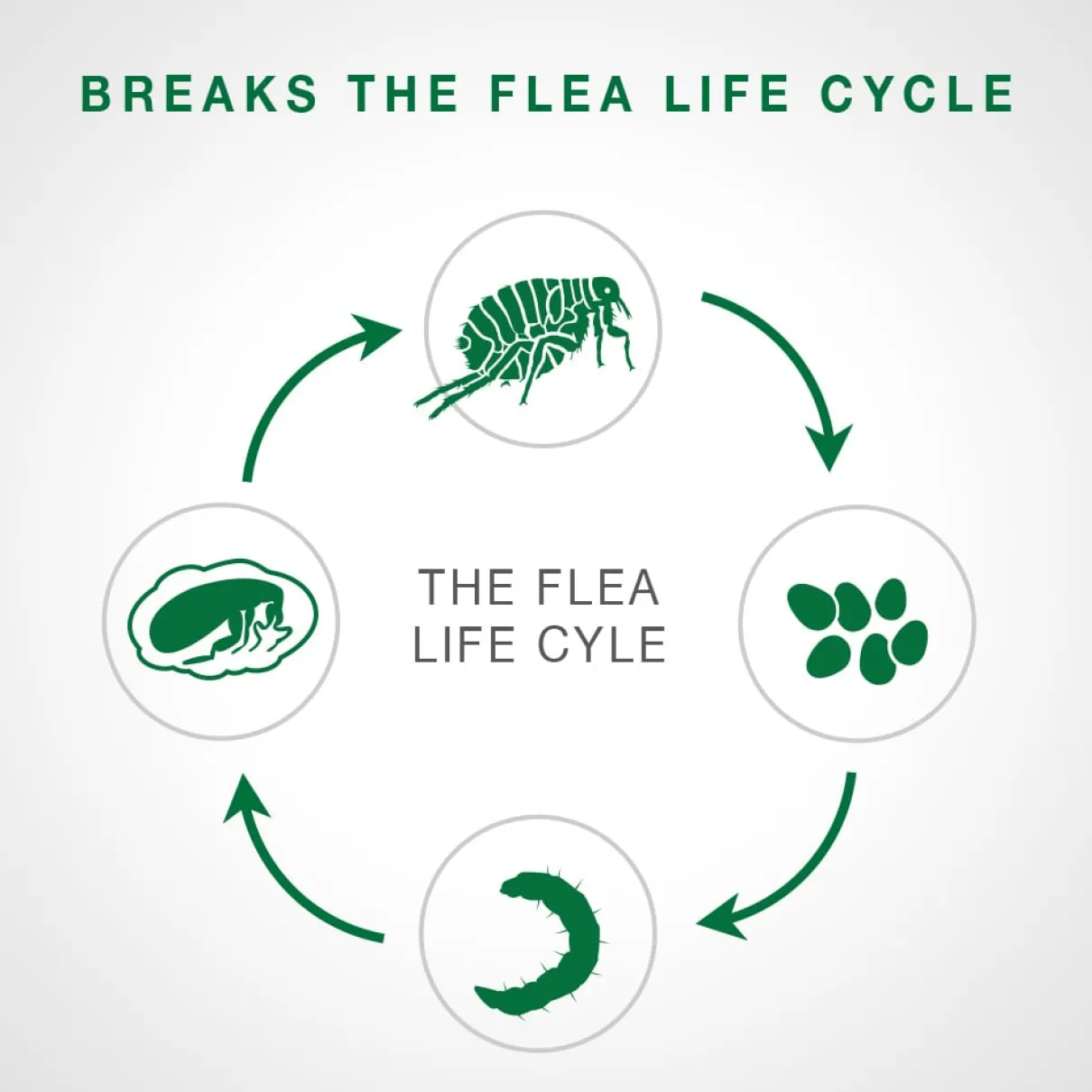 Advantage II - Kitten under 2.3kg