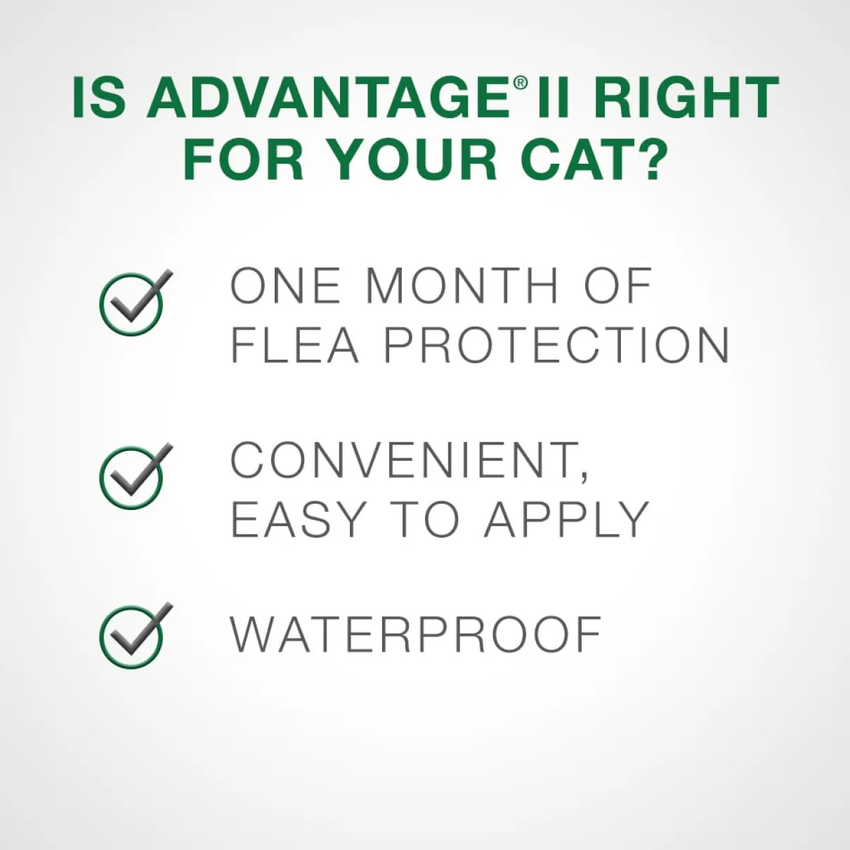 Advantage II - over 4kg