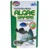 Algae Wafers - 8.8 oz