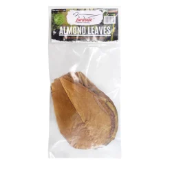 Almond Leaves - Medium
