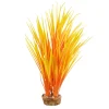 Amazon Grass Flame 10" Aquarium Plant