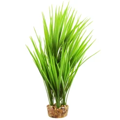 Amazon Grass Green 10" Aquarium Plant