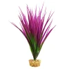 Amazon Grass Purple 10" Aquarium Plant