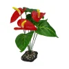Anthurium Bush Decorative Plant