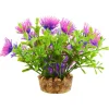 Bacomba Purple 4" Aquarium Plant