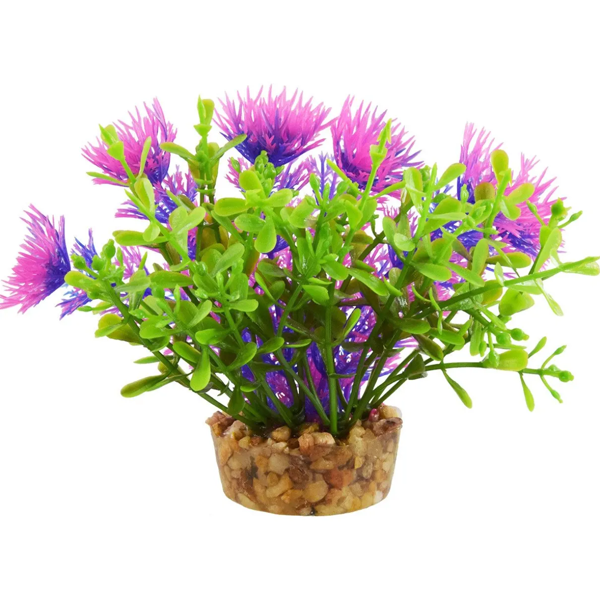 Bacomba Purple 4" Aquarium Plant