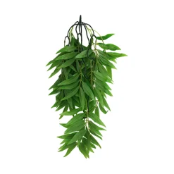 Bamboo Climbing Plant Small 16"