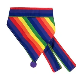 Bandana - Pride - Large