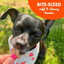 Buddy Biscuits Softies Mini Peanut Butter Soft & Chewy Treats 20oz