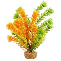 Cabomba Orange 6" Aquarium Plant