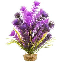 Cabomba Purple 8" Aquarium Plant