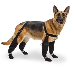 Canada Pooch Suspender Boots Black