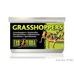 Canned Grasshoppers 34g