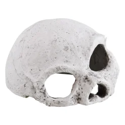 Ceramic Skull Large