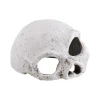 Ceramic Skull Medium