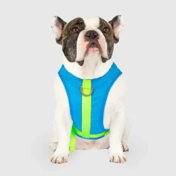 Chill Seeker Cooling Harness Blue