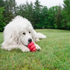 Classic Kong X-Large