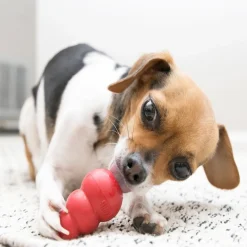 Classic Kong X-Small