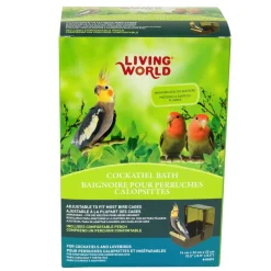 Cockatiel Bath