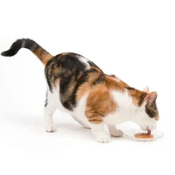 Creamy Lickable Cat Treat Chicken & Liver 5 Pack