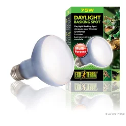 Daylight Basking Spot Lamp R20/75W