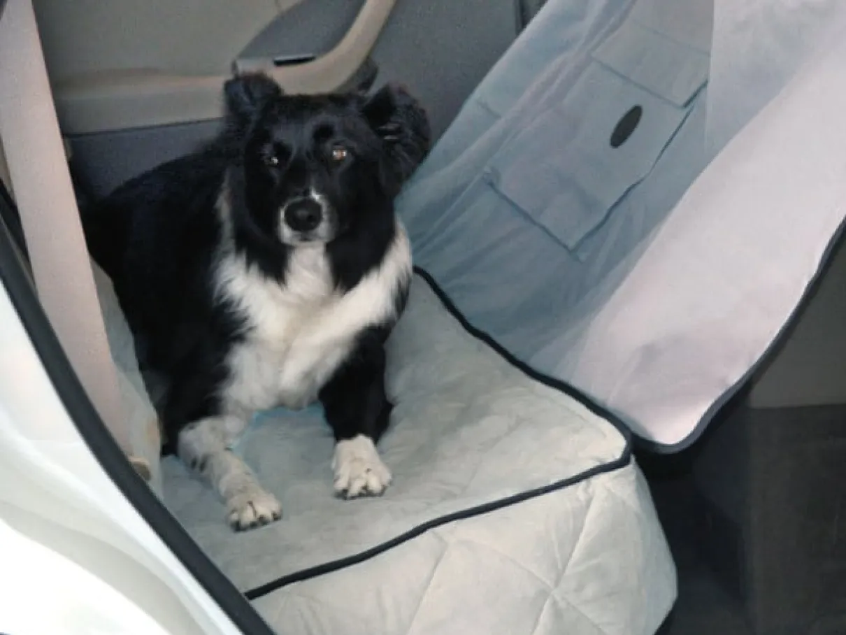 Deluxe Car Seat Cover Grey