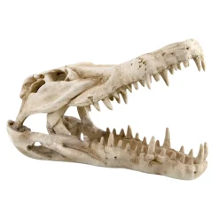 Dino Skull Shelter Large