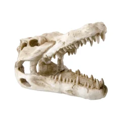 Dino Skull Shelter Medium