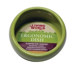 Ergonomic Dish - Small - 120 mL (4.22 oz) - Green/Ceramic