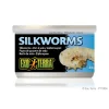 Exo Terra Silkworms (Pupea) - 34 g (1.2 oz)