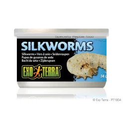 Exo Terra Silkworms (Pupea) - 34 g (1.2 oz)