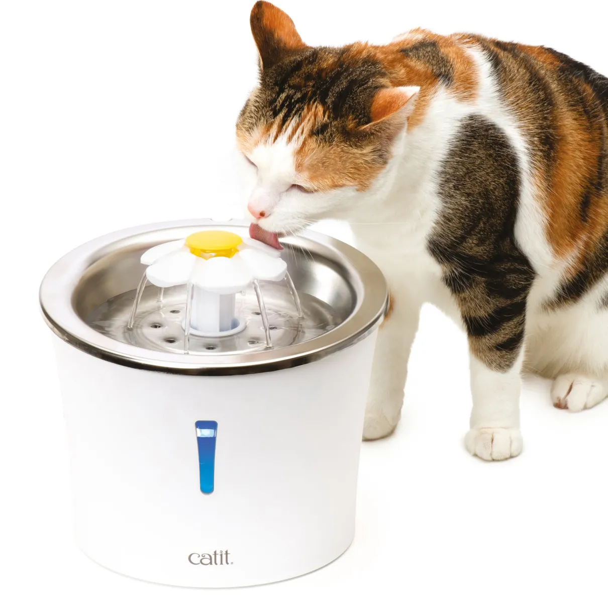 Flower Fountain Stainless Steel Top