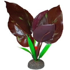 Fluval Betta Red Lizard Plant 15cm (6")