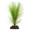 Fluval Green Parrot's Feather/Valisneria Plant 5"