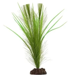 Fluval Green Parrot's Feather/Valisneria Plant 12"