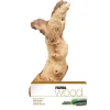 Fluval Mopani Drift wood - Large - 30 x 45 cm (11.8 X 17.7 in)