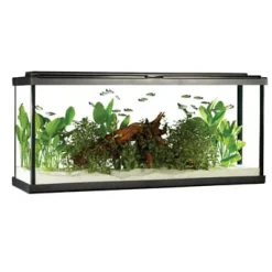 Fluval Premium Aquarium Kit with LED - 55 - 208 L (55 US Gal)