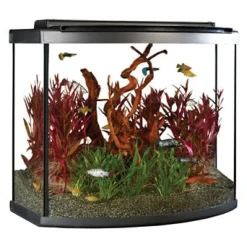 Fluval Premium Aquarium Kit with LED - 26 Bow - 98 L (26 US Gal)