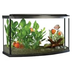 Fluval Premium Aquarium Kit with LED - 45 Bow - 170 L (45 US Gal)