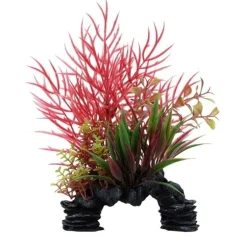Fluval Red Wisteria Mix Plant 8"