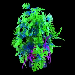 Glo Anubias Green/Blue Large