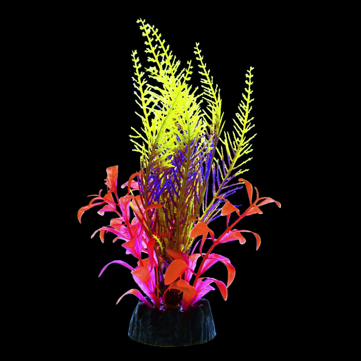 Glo Fern Green Medium