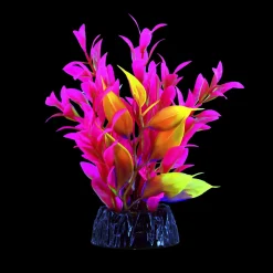 Glo Hygro Pink Small