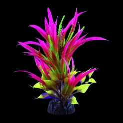 Glo Sagitaria Pink Large