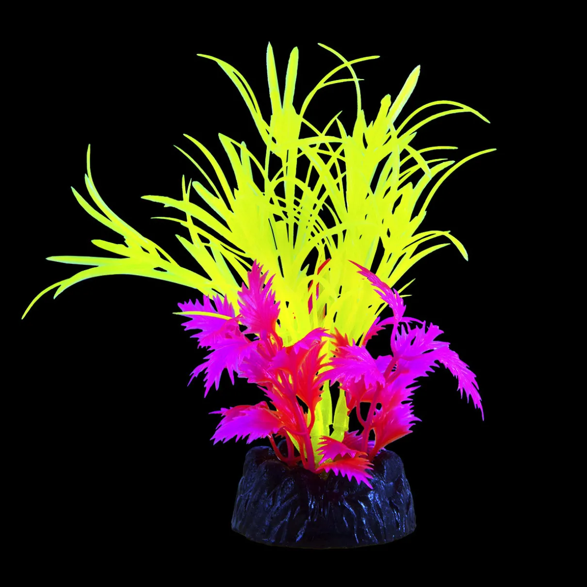 Glo Star Grass Yellow Small