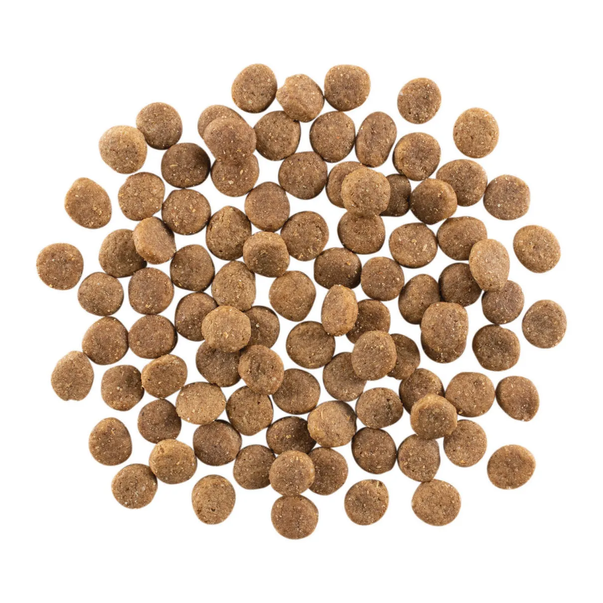 Go! Solutions Skin + Coat Care Salmon Recipe