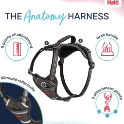 Halti Anatomy Harness