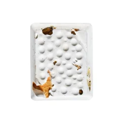 HARI Mineral Block for Small Birds Dried Apple 40g 1 pack